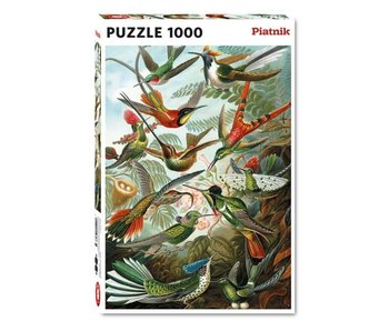 Piatnik 1000pc. Haeckel. Hummingbirds