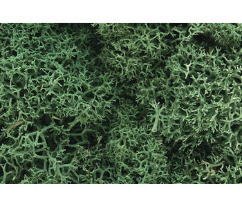 Woodland Scenics Lichen - Light Green L162