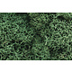 Woodland Scenics Lichen - Light Green L162