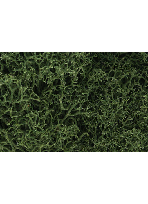 Woodland Scenics Lichen - Medium Grn L163