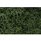 Woodland Scenics Lichen - Medium Grn L163