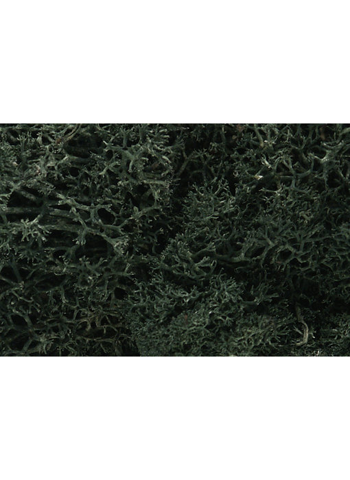 Woodland Scenics Lichen - Dark Green L164