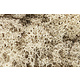 Woodland Scenics Lichen - Natural L166