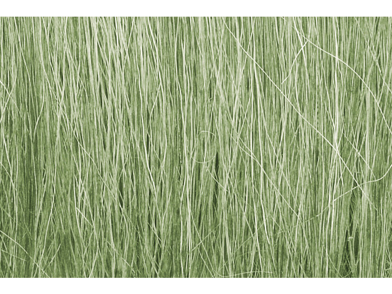 Woodland Scenics Woodland Scenics Field Grass - Light green FG173