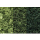 Woodland Scenics Tree Kit - Green deciduous (5-7 inches) (7/Pk) TR1103