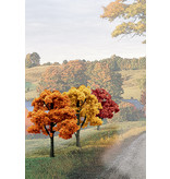 Woodland Scenics Woodland Scenics Ready - Fall Colors deciduous (3-5 inches) (14/Pk) TR1577