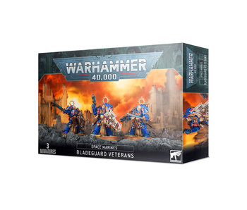 Space Marines Bladeguard Veterans