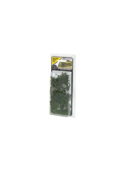 Woodland Scenics Briar Patch Medium Green (FS638)