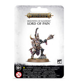 Games Workshop Hedonites of Slaanesh Lord of Pain
