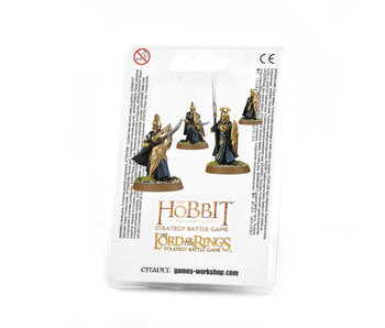 High Elf Warriors