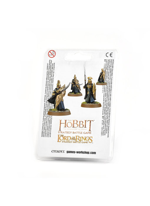 High Elf Warriors
