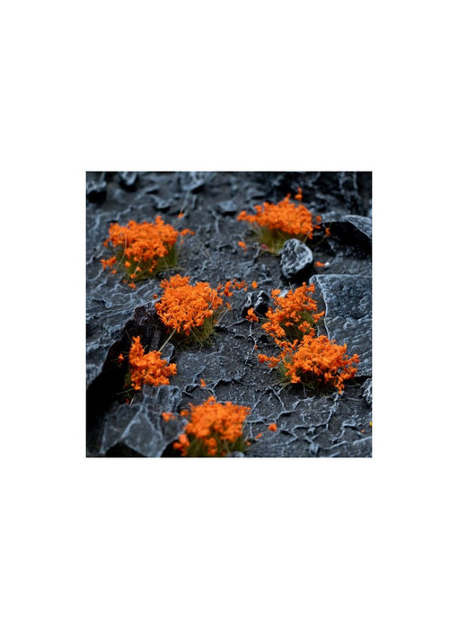 Orange Flowers - Wild