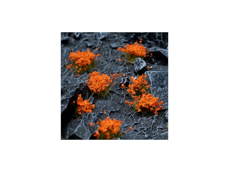 Gamer's Grass Orange Flowers - Wild