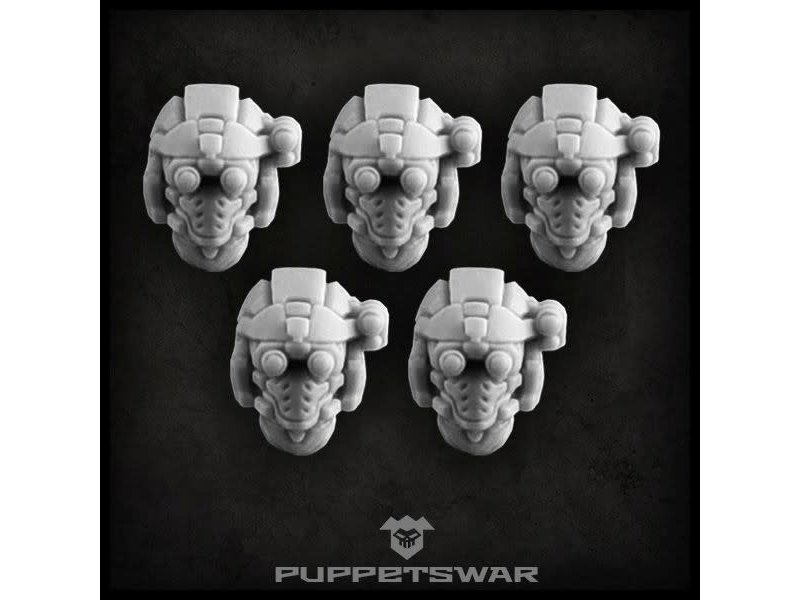 Puppetswar Puppetswar NVG Team helmets (S115)