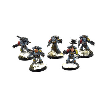 SPACE WOLVES 5 Wolf Guards #6 PRO PAINTED Warhammer 40k
