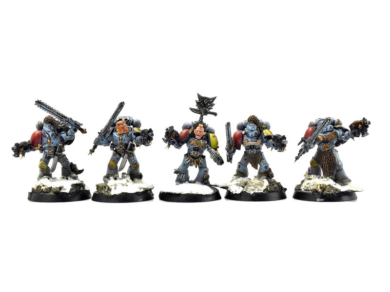 Games Workshop SPACE WOLVES 5 Wolf Guards #6 PRO PAINTED Warhammer 40k