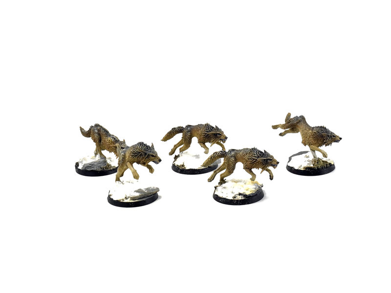 Games Workshop SPACE WOLVES Fenrisian Wolves #2 PRO PAINTED 40k