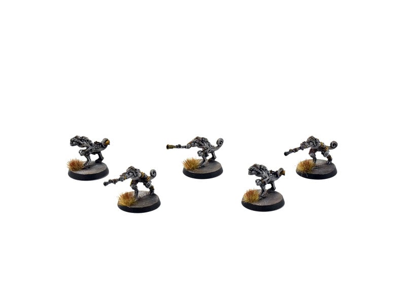 Games Workshop SERAPHON 5 Chameleon Skinks #2 PRO PAINTED SIGMAR