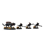 Games Workshop SERAPHON Salamander Hunting Pack #1 PRO PAINTED SIGMAR