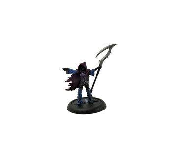 LEGION OF EVERBLIGHT Blighted Nyss Shepard #2 METAL