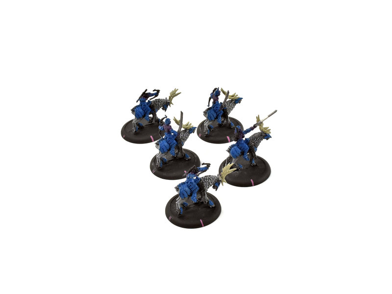 LEGION OF EVERBLIGHT Blighted Nyss Raptors #2 METAL