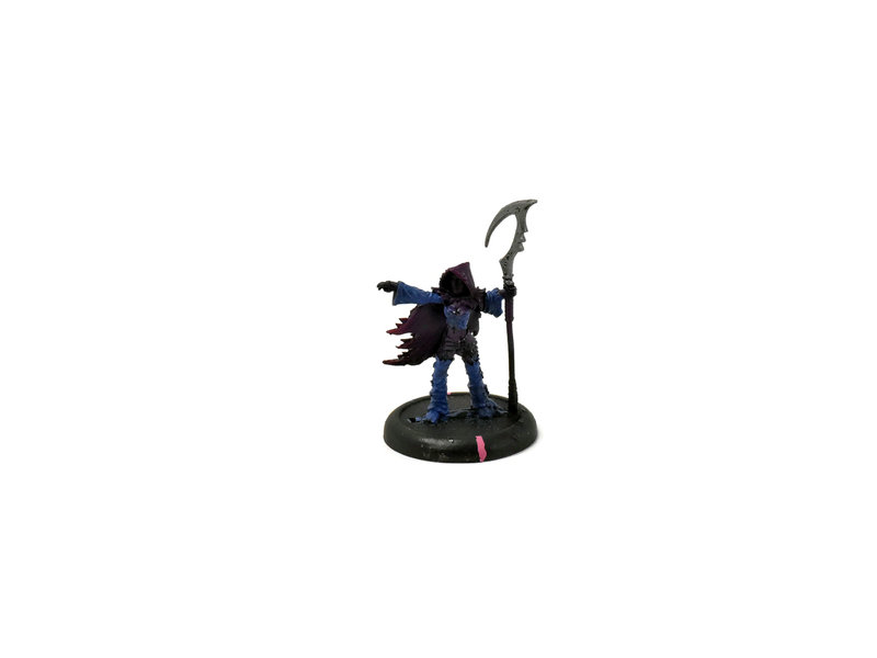LEGION OF EVERBLIGHT Blighted Nyss Shepard #1 METAL