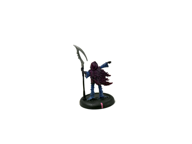 LEGION OF EVERBLIGHT Blighted Nyss Shepard #1 METAL