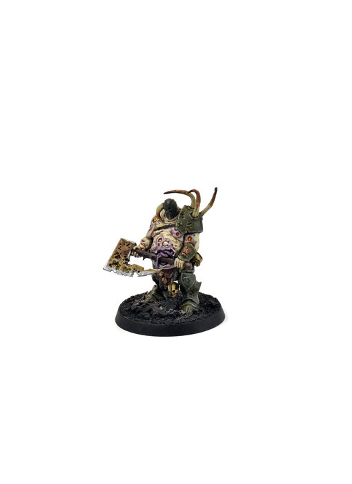 MAGGOTKIN OF NURGLE Lord of Plague #2 WELL PAINTED SIGMAR