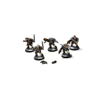 SPACE WOLVES 5 Scouts #1 WELL PAINTED Warhammer 40K