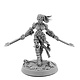 Sister Sororita With Two Swords