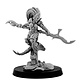 Elves Phoenix