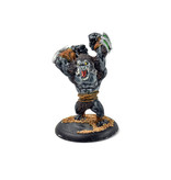 HORDES Gorax Rager circle orboros