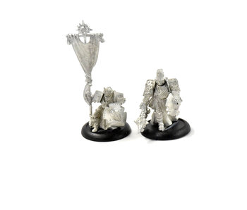 WARMACHINE Precursors Knight Officer & Standard #1 METAL Cygnar