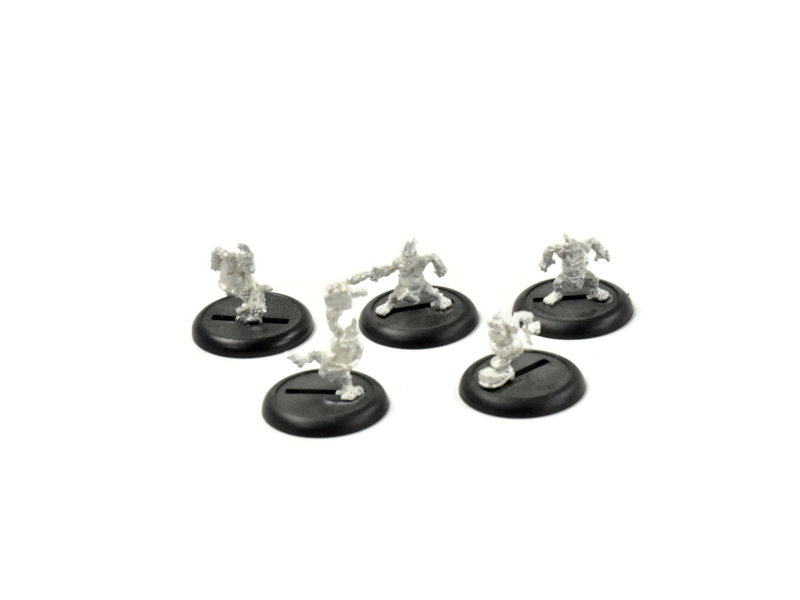 HORDES Whelps #1 METAL Trollblood METAL