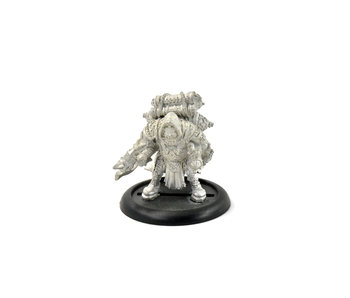 HORDES Stone Scribe Elder #1 METAL