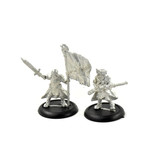 WARMACHINE Long Gunner Infantry Officer & Standard #1 METAL Cygnar