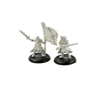 WARMACHINE Long Gunner Infantry Officer & Standard #1 METAL Cygnar