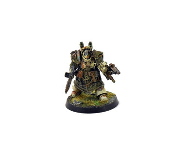 DEATH GUARD Plague Surgeon PRO PAINTED converted 40K Forge World