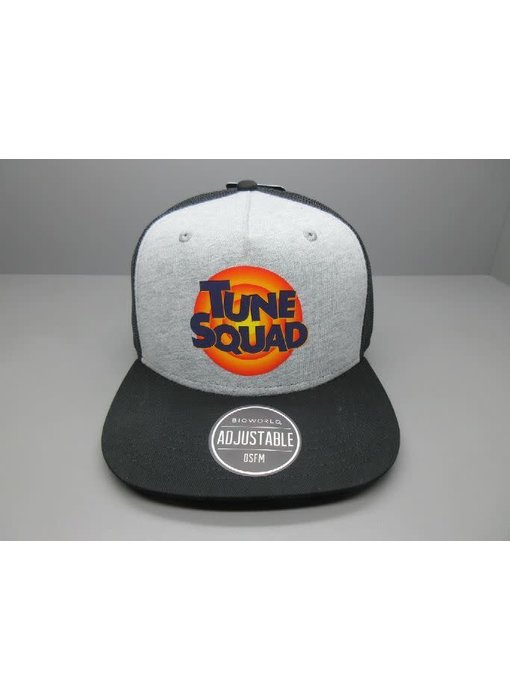 Space Jam - Tune Squad Kids Mesh Back Grey Hat