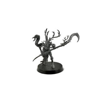 SYLVANETH Branchwych #1 Sigmar