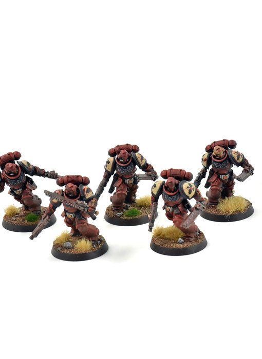 BLOOD ANGELS 5 Assault Intercessors #2 WELL PAINTED blood raven 40K