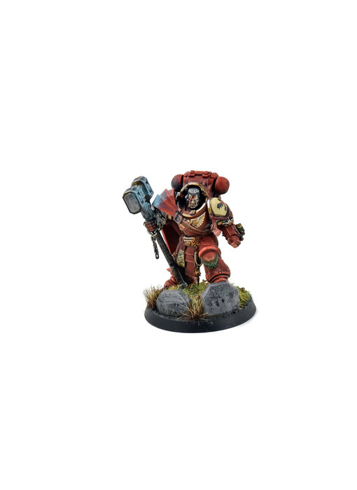 BLOOD ANGELS Smash Captain in Terminator Armour #1 Converted WELL PAINTED 40K