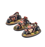 Games Workshop BLOOD ANGELS 3 Primaris Outriders #1 PRO PAINTED Warhammer 40K