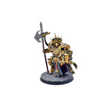 Games Workshop STORMCAST ETERNALS Lord-Castellan #1 PRO PAINTED Sigmar