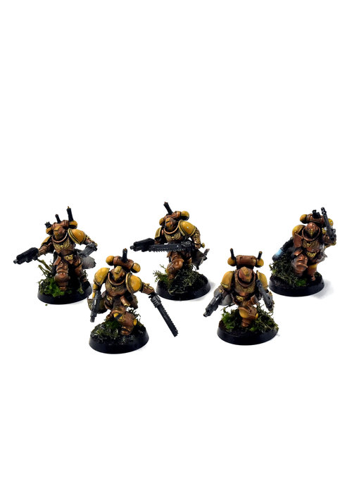 SPACE MARINES 5 Assault Intercessors #1 PRO PAINTED Minotaurs 40k