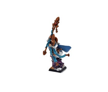 HIGH ELVES Caladris Mage #1 WELL PAINTED Fantasy Island of Blood