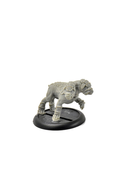 HORDES Circle Orboros Argus Moonhound #1