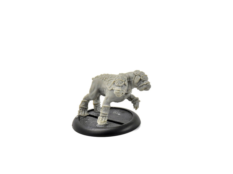 HORDES Circle Orboros Argus Moonhound #1