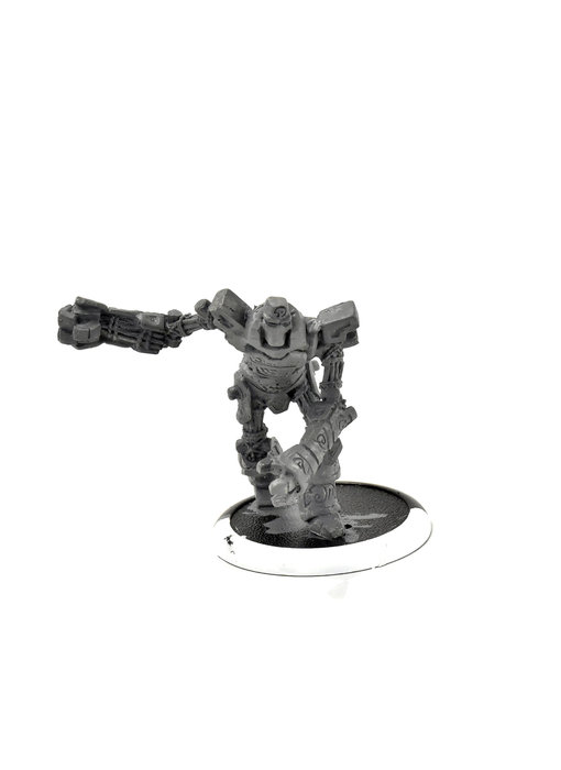 HORDES Circle Orboros Wold Warden #4