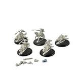 HORDES Circle Orboros 5 Tharn Wolf Riders #1 METAL
